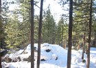 Tahoe 016